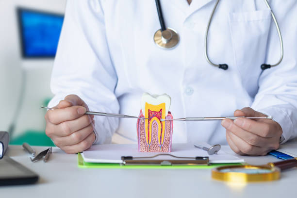 Best Walk-In Emergency Dental Services in Girard, IL